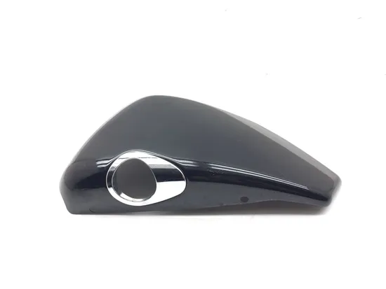 Right Side Cover 2014 Harley-Davidson Forty Eight 48 XL1200X 3153 x