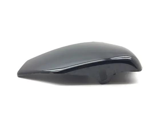 Right Side Cover 2014 Harley-Davidson Forty Eight 48 XL1200X 3153 x