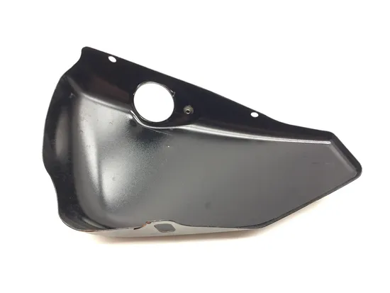 Right Side Cover 2014 Harley-Davidson Forty Eight 48 XL1200X 3153 x