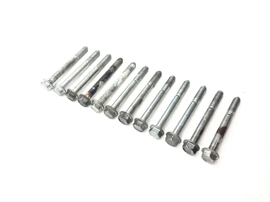 Engine Left Right Center Case Bolts 2007 Harley Softail Standard FXST 3156