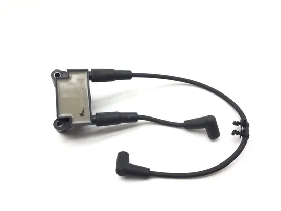 Ignition Coil Set 2007 Harley-Davidson Softail Standard FXST 3156