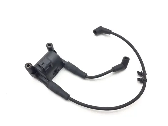 Ignition Coil Set 2007 Harley-Davidson Softail Standard FXST 3156