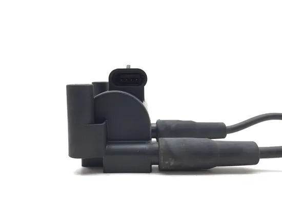 Ignition Coil Set 2007 Harley-Davidson Softail Standard FXST 3156