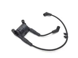 Ignition Coil Set 2007 Harley-Davidson Softail Standard FXST 3156