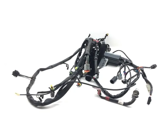 Main Engine Wiring Harness 2007 Harley-Davidson Softail Standard FXST 3156