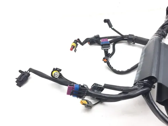 Main Engine Wiring Harness 2007 Harley-Davidson Softail Standard FXST 3156