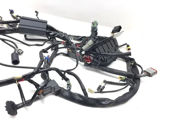 Main Engine Wiring Harness 2007 Harley-Davidson Softail Standard FXST 3156