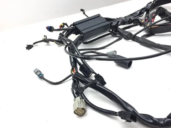 Main Engine Wiring Harness 2007 Harley-Davidson Softail Standard FXST 3156