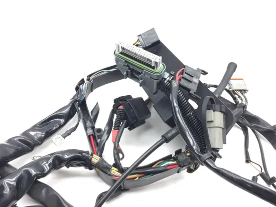 Main Engine Wiring Harness 2007 Harley-Davidson Softail Standard FXST 3156