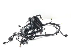 Main Engine Wiring Harness 2007 Harley-Davidson Softail Standard FXST 3156