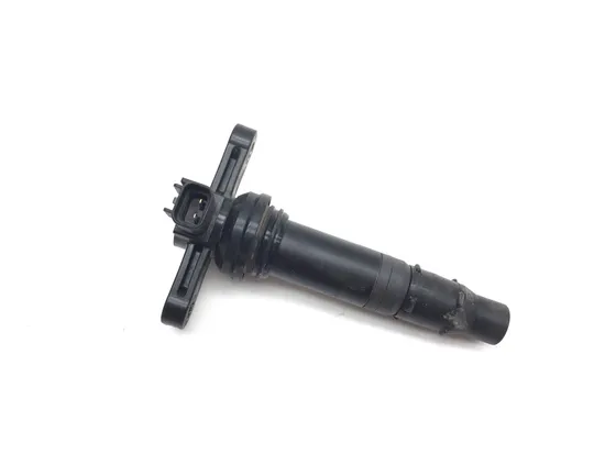 Ignition Coil 2018 Textron Off Road Wildcat XX 4X4 3130 1