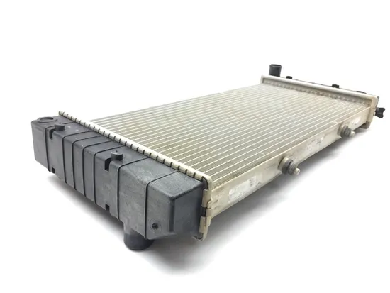 Engine Radiator Cooling 2018 Textron Off Road Wildcat XX 4X4 3130 x