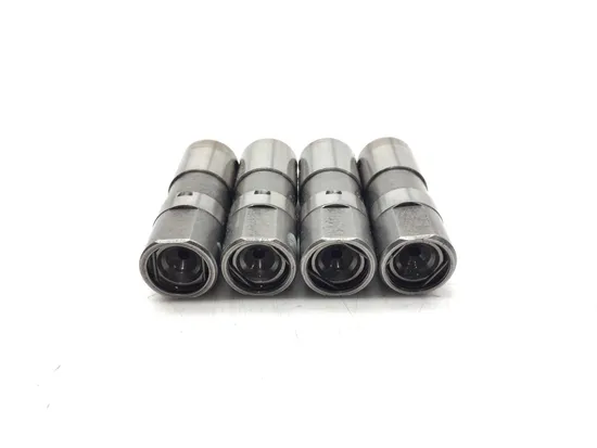 Push Rods Tubes and Lifters 2012 Harley-Davidson Softail Slim FLS 3155