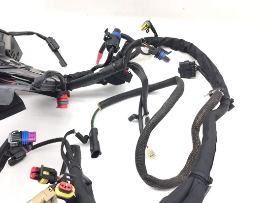 Main Engine Wiring Harness 2012 Harley-Davidson Softail Slim FLS 3155