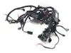 Main Engine Wiring Harness 2012 Harley-Davidson Softail Slim FLS 3155
