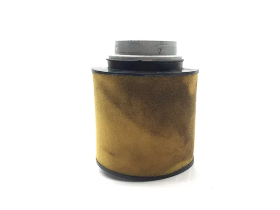 Air Filter 2018 Honda Pioneer 700-4 SXS700M4D Deluxe 3142