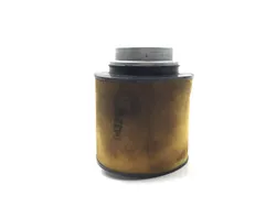 Air Filter 2018 Honda Pioneer 700-4 SXS700M4D Deluxe 3142