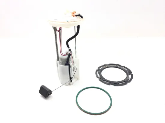 Gas Fuel Tank Pump 2018 Honda Pioneer 700-4 SXS700M4D Deluxe 3142