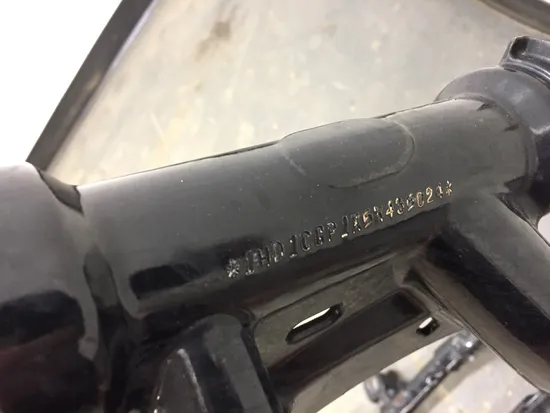 Main Frame Chassis 2005 Harley-Davidson Sportster 1200 Custom XL1200C 3157 x