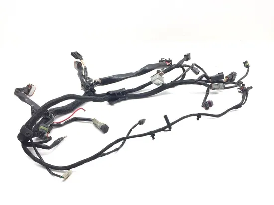 Main Engine Wiring Harness 2005 Harley Sportster 1200 Custom XL1200C 3157 x