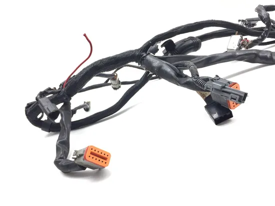 Main Engine Wiring Harness 2005 Harley Sportster 1200 Custom XL1200C 3157 x