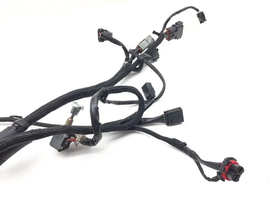 Main Engine Wiring Harness 2005 Harley Sportster 1200 Custom XL1200C 3157 x