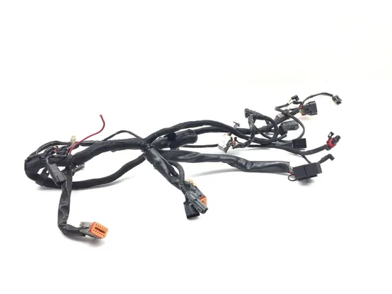 Main Engine Wiring Harness 2005 Harley Sportster 1200 Custom XL1200C 3157 x