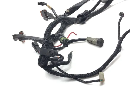 Main Engine Wiring Harness 2005 Harley Sportster 1200 Custom XL1200C 3157 x