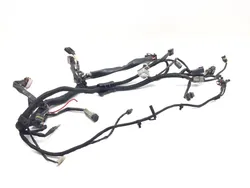 Main Engine Wiring Harness 2005 Harley Sportster 1200 Custom XL1200C 3157 x