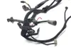 Main Engine Wiring Harness 2005 Harley Sportster 1200 Custom XL1200C 3157 x