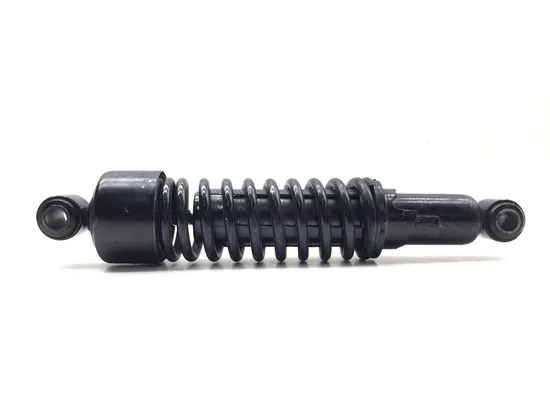 Rear Shocks Suspension 2005 Harley-Davidson Sportster 1200 Custom XL1200C 3167 x