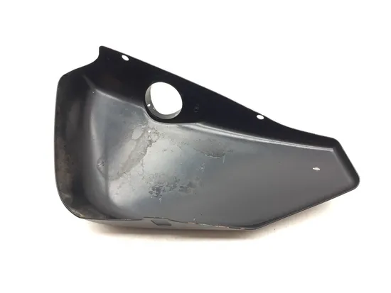 Right Side Cover 2005 Harley-Davidson Sportster 1200 Custom XL1200C 3167 x