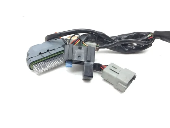 Main Engine Wiring Harness 2004 Harley Electra Glide Ultra Classic EFI 3164