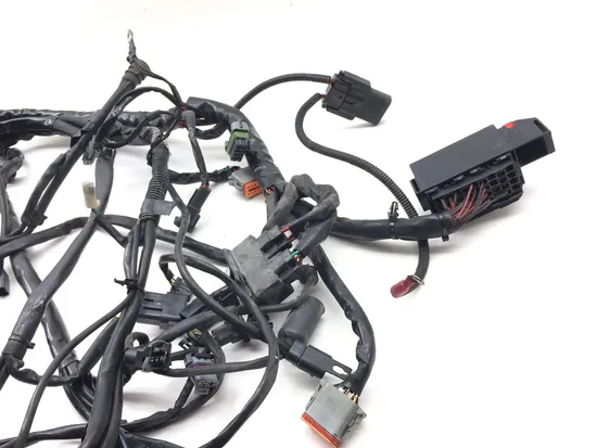 Main Engine Wiring Harness 2004 Harley Electra Glide Ultra Classic EFI 3164