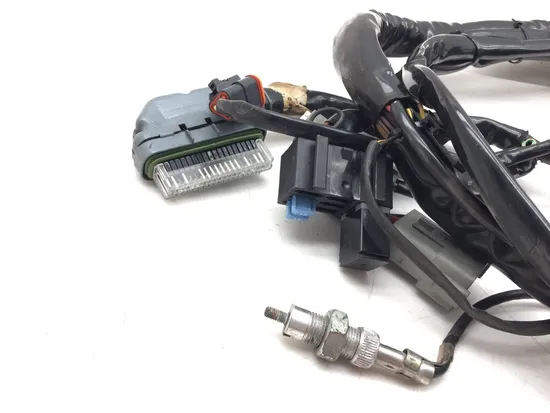 Main Engine Wiring Harness 2004 Harley Electra Glide Ultra Classic EFI 3164