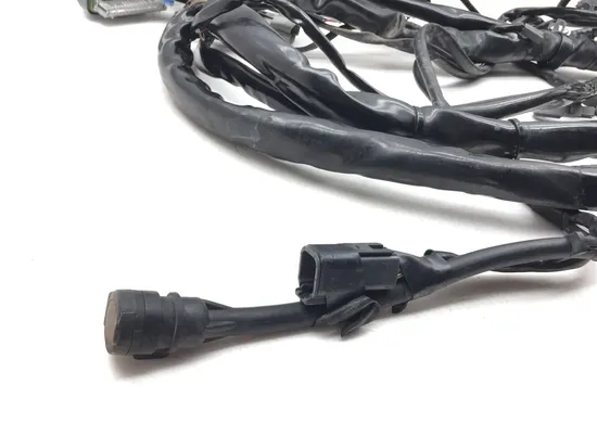 Main Engine Wiring Harness 2004 Harley Electra Glide Ultra Classic EFI 3164