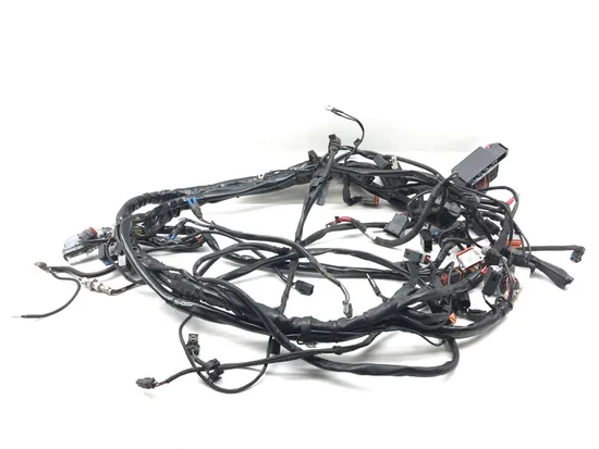 Main Engine Wiring Harness 2004 Harley Electra Glide Ultra Classic EFI 3164