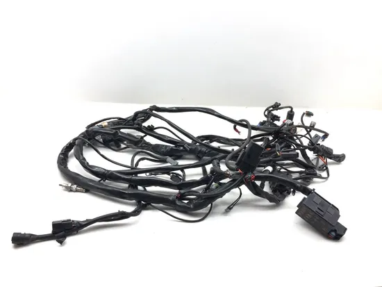 Main Engine Wiring Harness 2004 Harley Electra Glide Ultra Classic EFI 3164