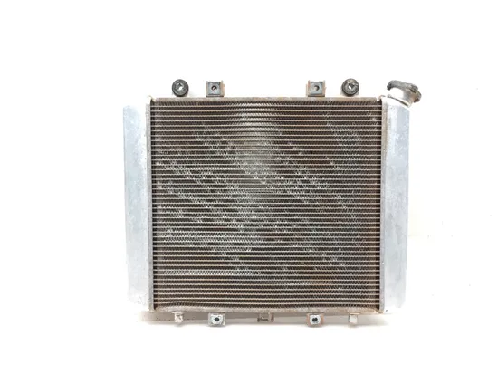 Engine Radiator Cooling 2009 Kawasaki Brute Force 650 KVF650F 4x4i 3082 x