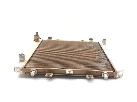 Engine Radiator Cooling 2009 Kawasaki Brute Force 650 KVF650F 4x4i 3082 x