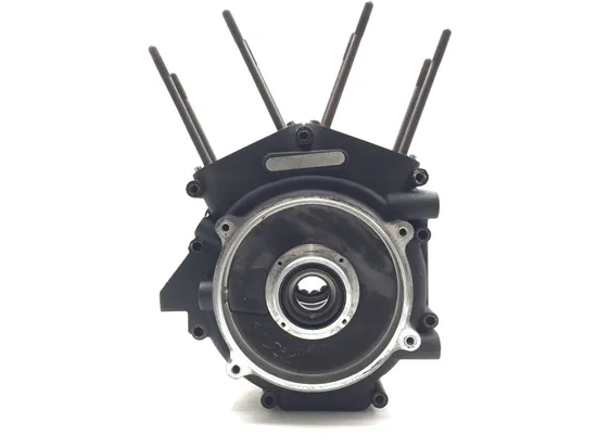 Engine Left Right Center Cases 1999 Harley-Davidson Road King FLHR 3161 x