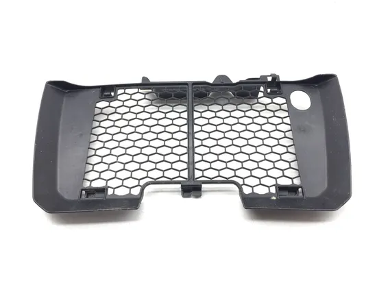 Engine Radiator Grill Guard 2020 Yamaha YFZ450RSE 3173