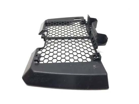 Engine Radiator Grill Guard 2020 Yamaha YFZ450RSE 3173