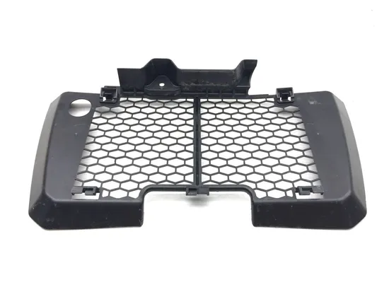 Engine Radiator Grill Guard 2020 Yamaha YFZ450RSE 3173