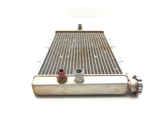 Engine Radiator Cooling 2004 Yamaha Rhino 660 YXR660FA 4x4 3151