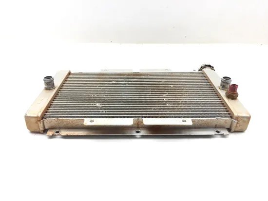 Engine Radiator Cooling 2004 Yamaha Rhino 660 YXR660FA 4x4 3151