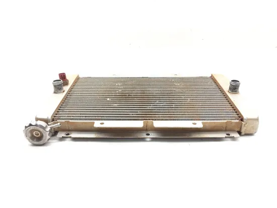 Engine Radiator Cooling 2004 Yamaha Rhino 660 YXR660FA 4x4 3151