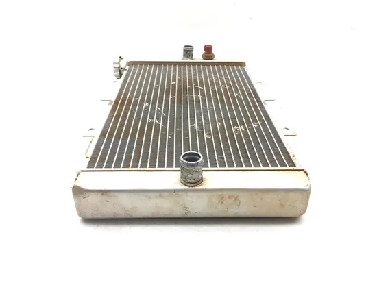Engine Radiator Cooling 2004 Yamaha Rhino 660 YXR660FA 4x4 3151