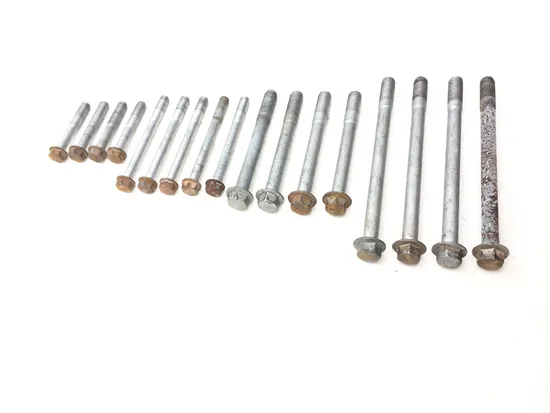 Engine Center Cases Case Bolts 2006 Kawasaki Brute Force 650 KVF650F 4x4i 3169