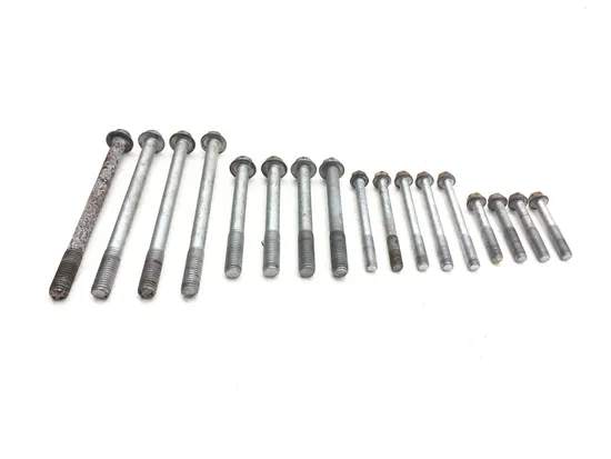 Engine Center Cases Case Bolts 2006 Kawasaki Brute Force 650 KVF650F 4x4i 3169